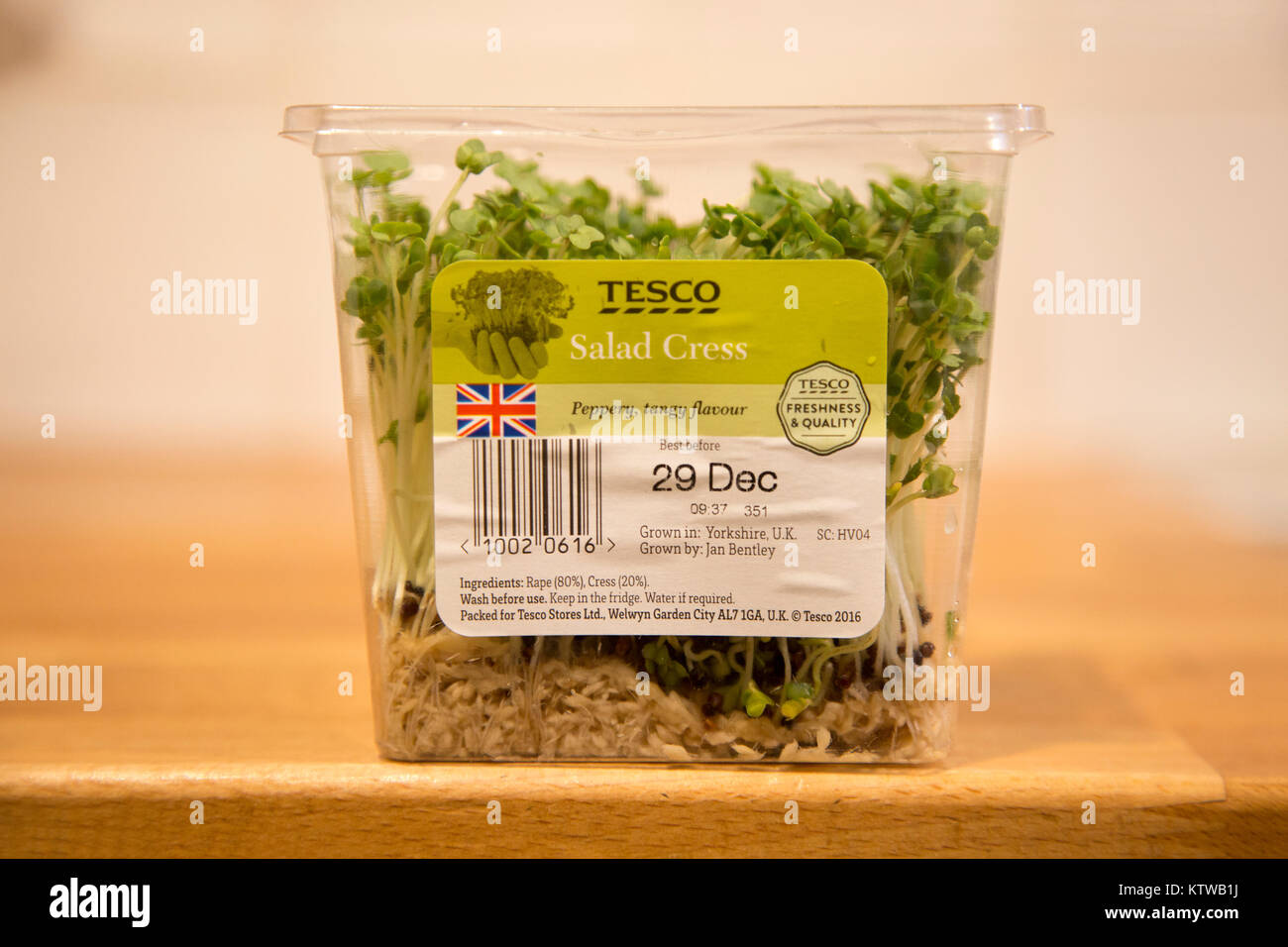 Close up di insalata il crescione cresce dentro di plastica contenitore Tesco Foto Stock