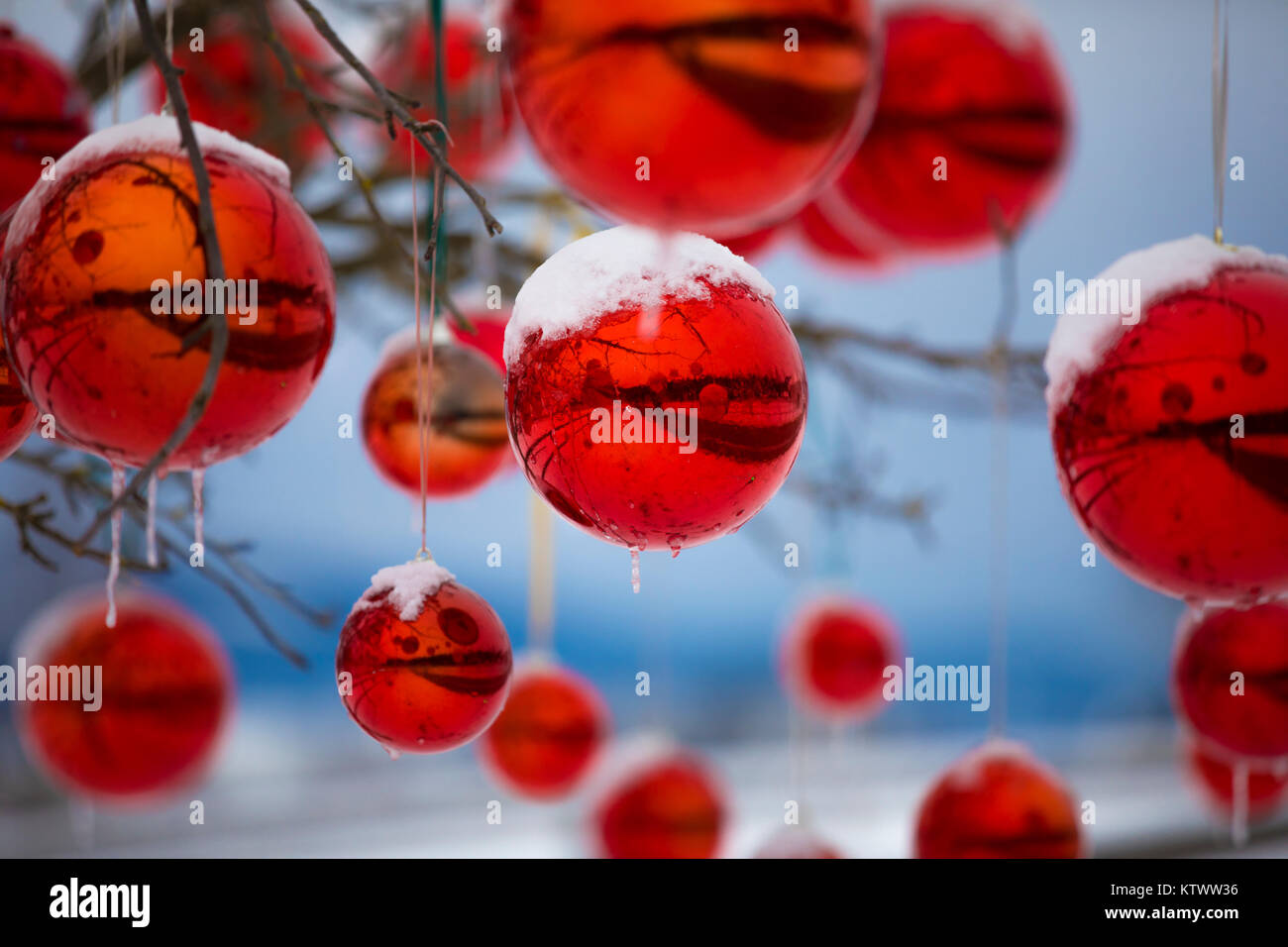 Colorato, riflettente palla di Natale ornamenti per esterno ricoperto di neve e ghiaccioli - foto all'aperto durante l'avvento contro un cielo blu. La bassa profondità della FIE Foto Stock