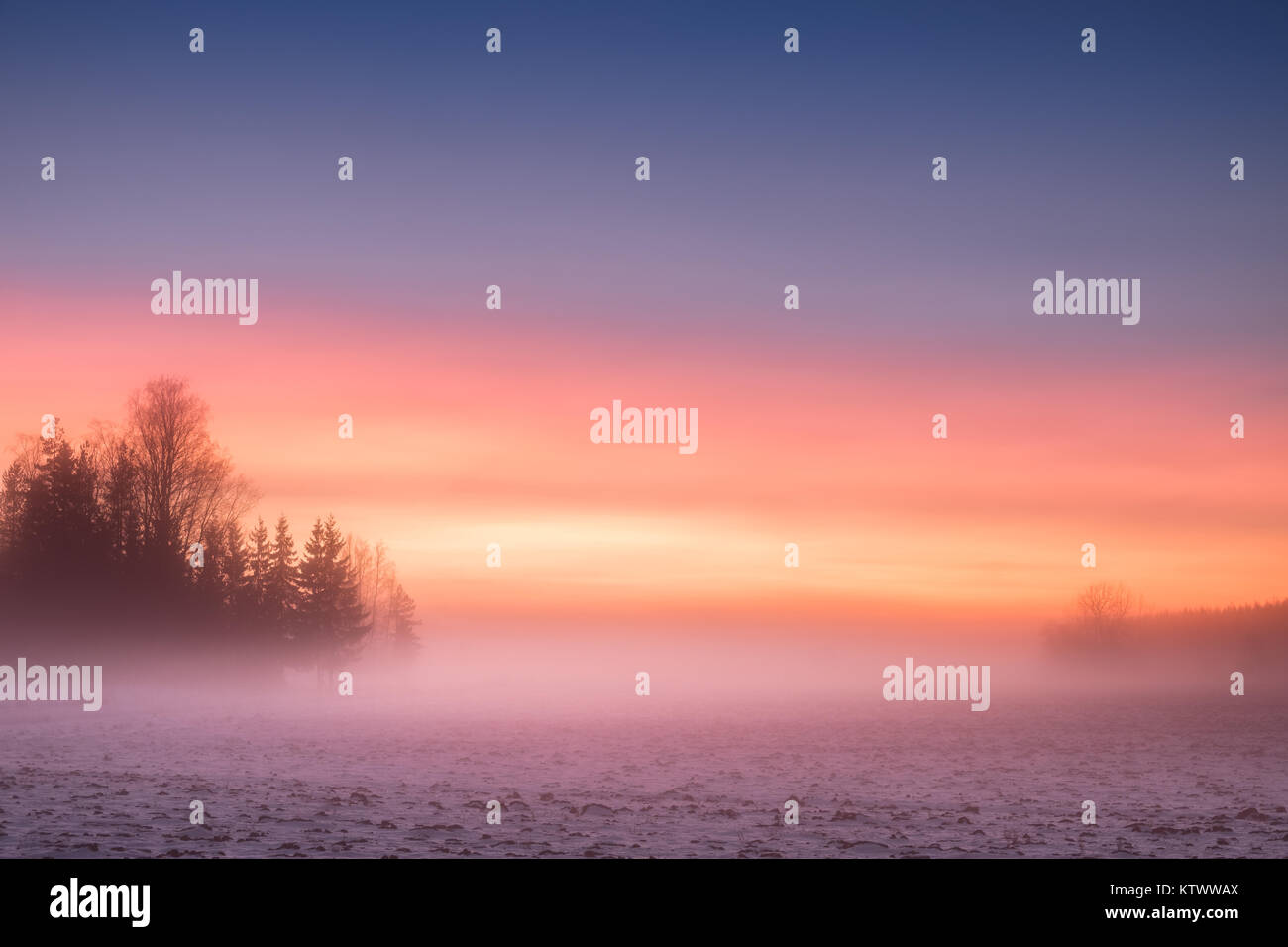 Nebbia e colorato tramonto con il tranquillo paesaggio di sera d'inverno in Finlandia Foto Stock