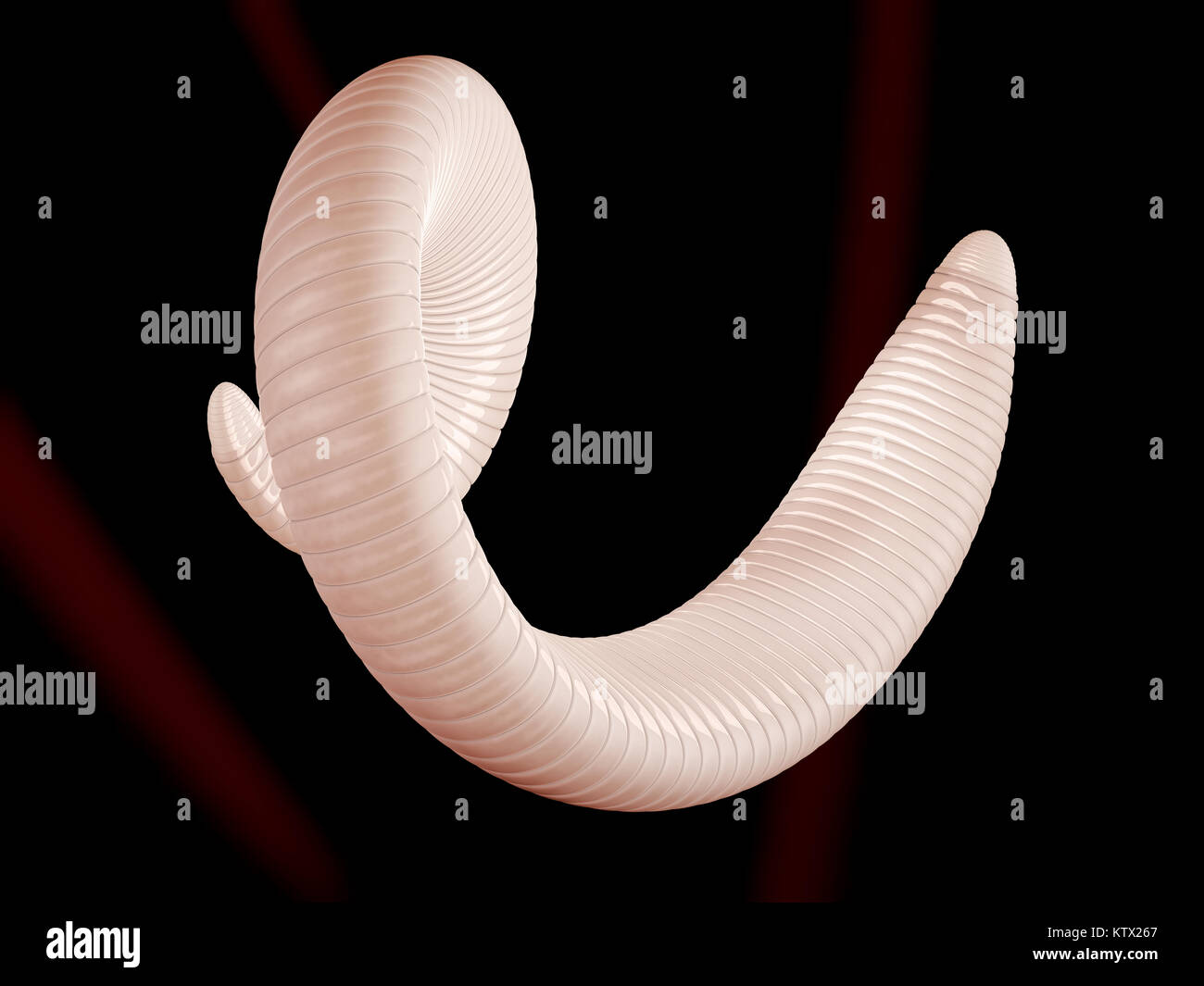 3d illustrazione del worm parassita e delle intossicazioni alimentari Foto Stock