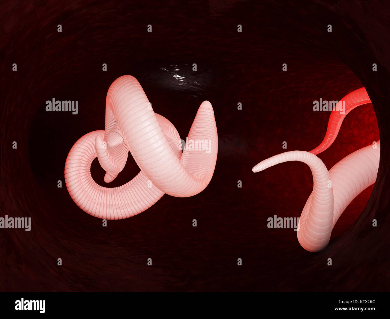 Elminti con virus e cellule del sangue. 3d'illustrazione. Foto Stock