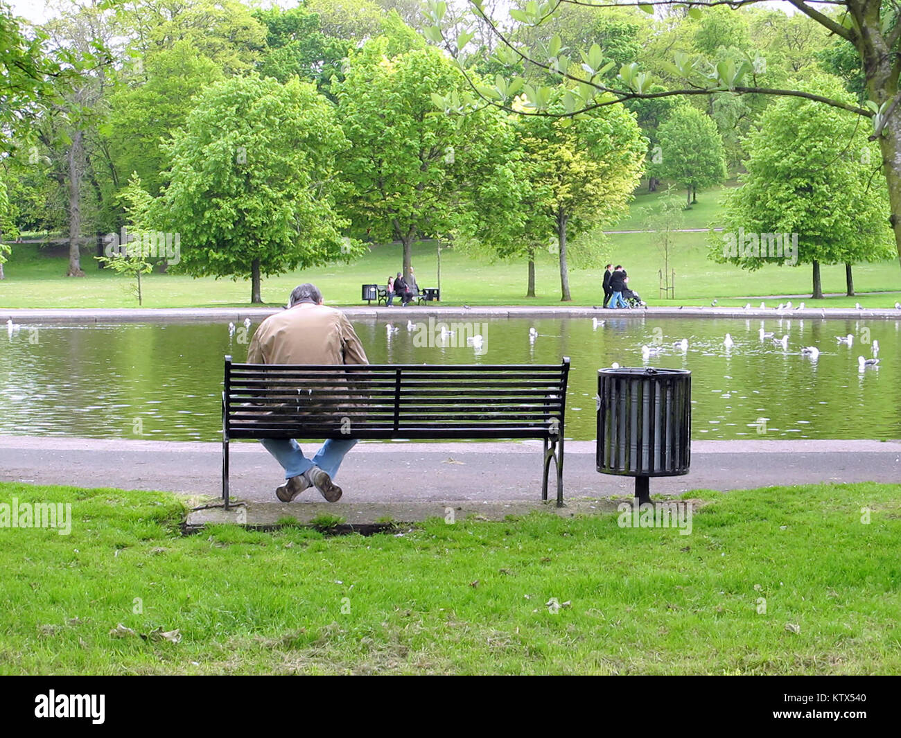 Queen's Park Glasgow,UK singolo uomo disoccupati seduto su una panchina nel parco vicino al laghetto verdi alberi pomeriggio soleggiato premuto lonely hairmless Foto Stock