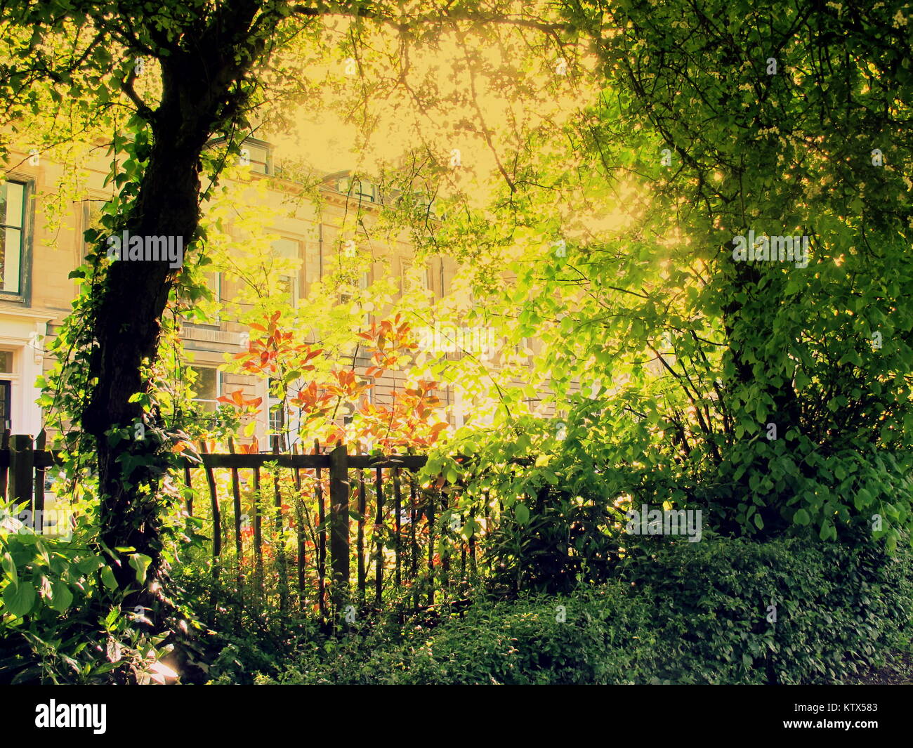 Soleggiato giardino luminoso alberi pezzata luce attraverso le foglie Victorian Edwardian stile inglese ville a schiera suburbia concetto di insalata estiva giorni Foto Stock