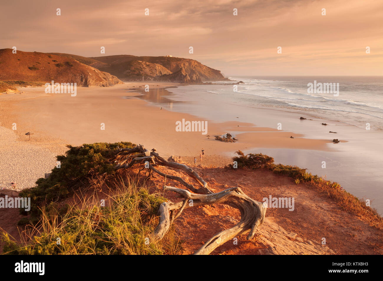 Praia do Amado spiaggia al tramonto, Carrapateira, Costa Vicentina, west coast, Algarve, Portogallo, Europa Foto Stock