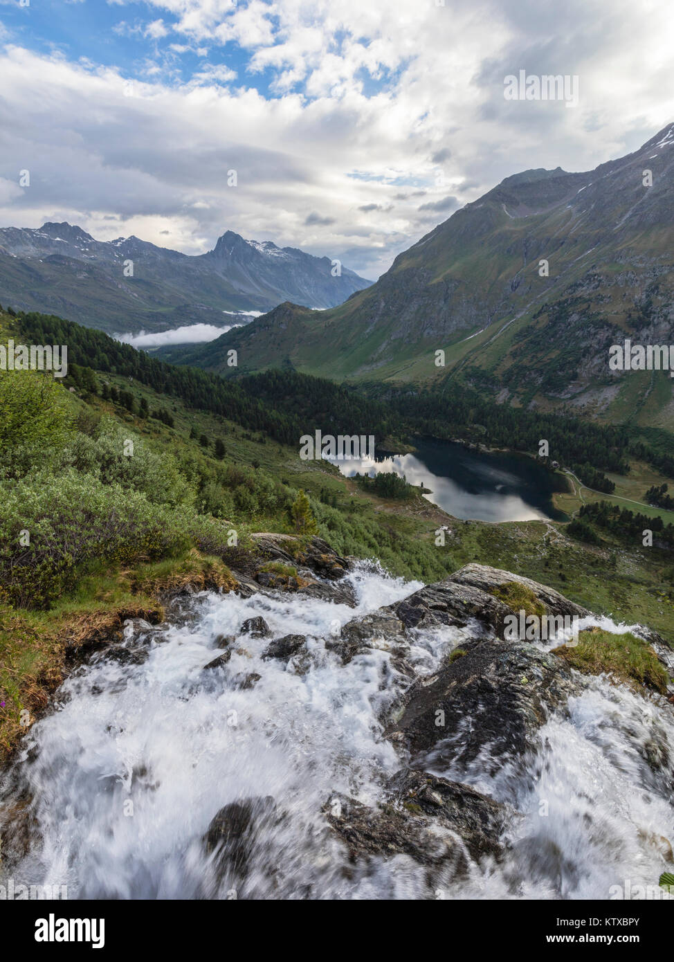 Acqua corrente di un torrente intorno al lago di Cavloc, Maloja Pass, Val Bregaglia, Engadina nel Cantone dei Grigioni, Svizzera, Europa Foto Stock