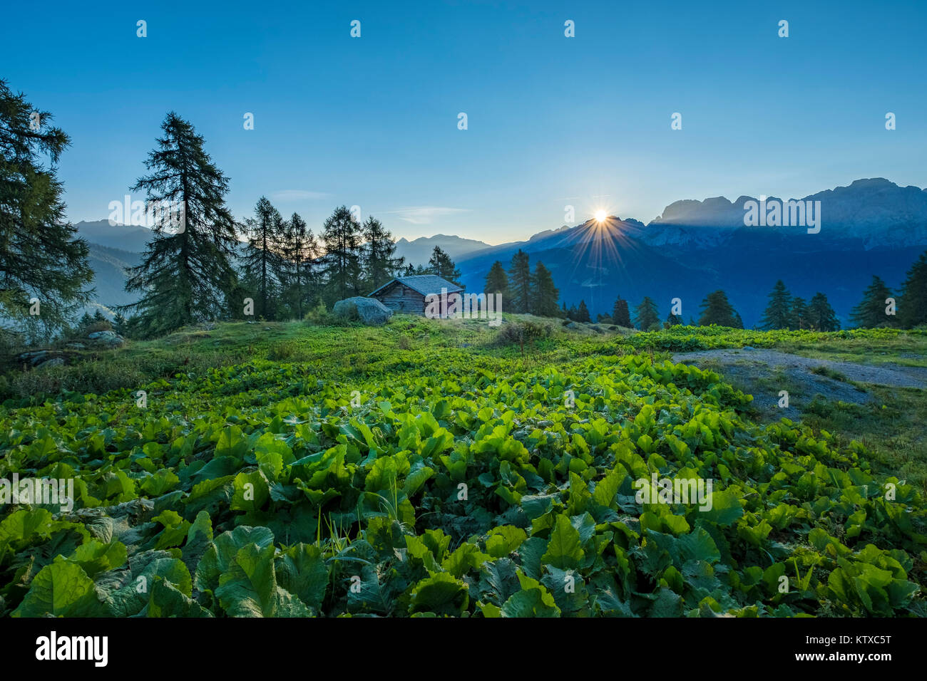 Brenta a sunrise, Val Rendena, Trentino, Italia, Europa Foto Stock