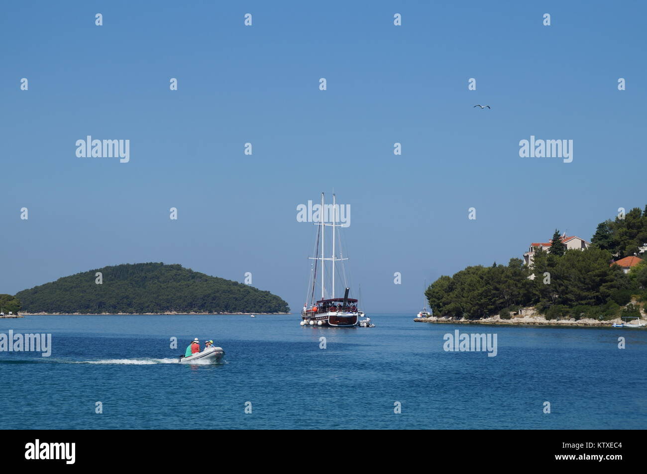 Vela Luka town, Isola di Korcula, Croazia Foto Stock