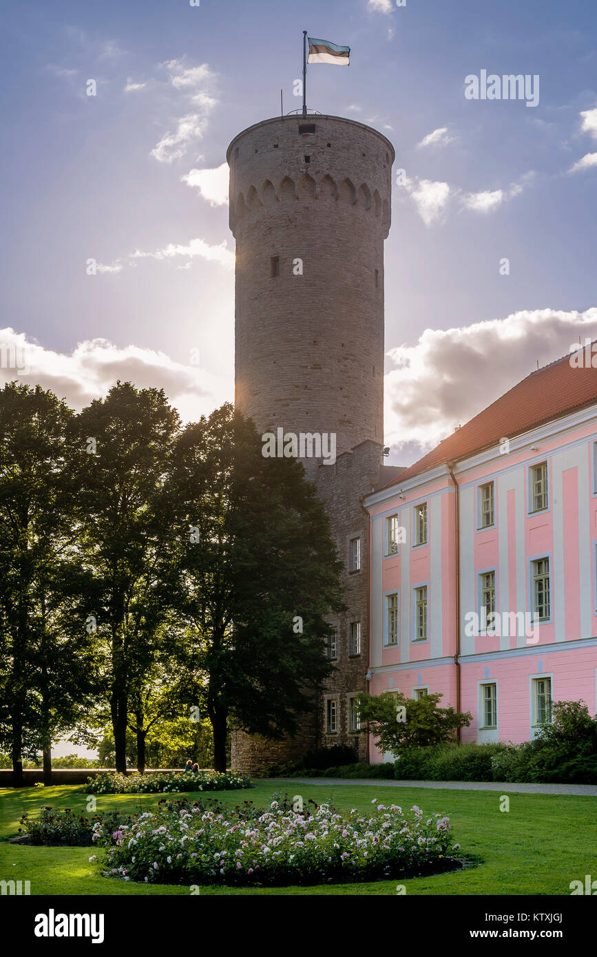 Pikk Hermann o Tall Hermann la torre del Castello di Toompea, sulla collina di Toompea a Tallinn, la capitale dell'Estonia Foto Stock