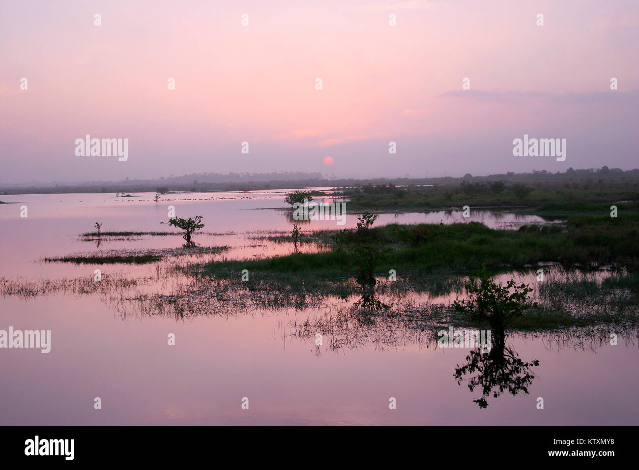Merritt Island National Wildlife Refuge, Florida Foto Stock