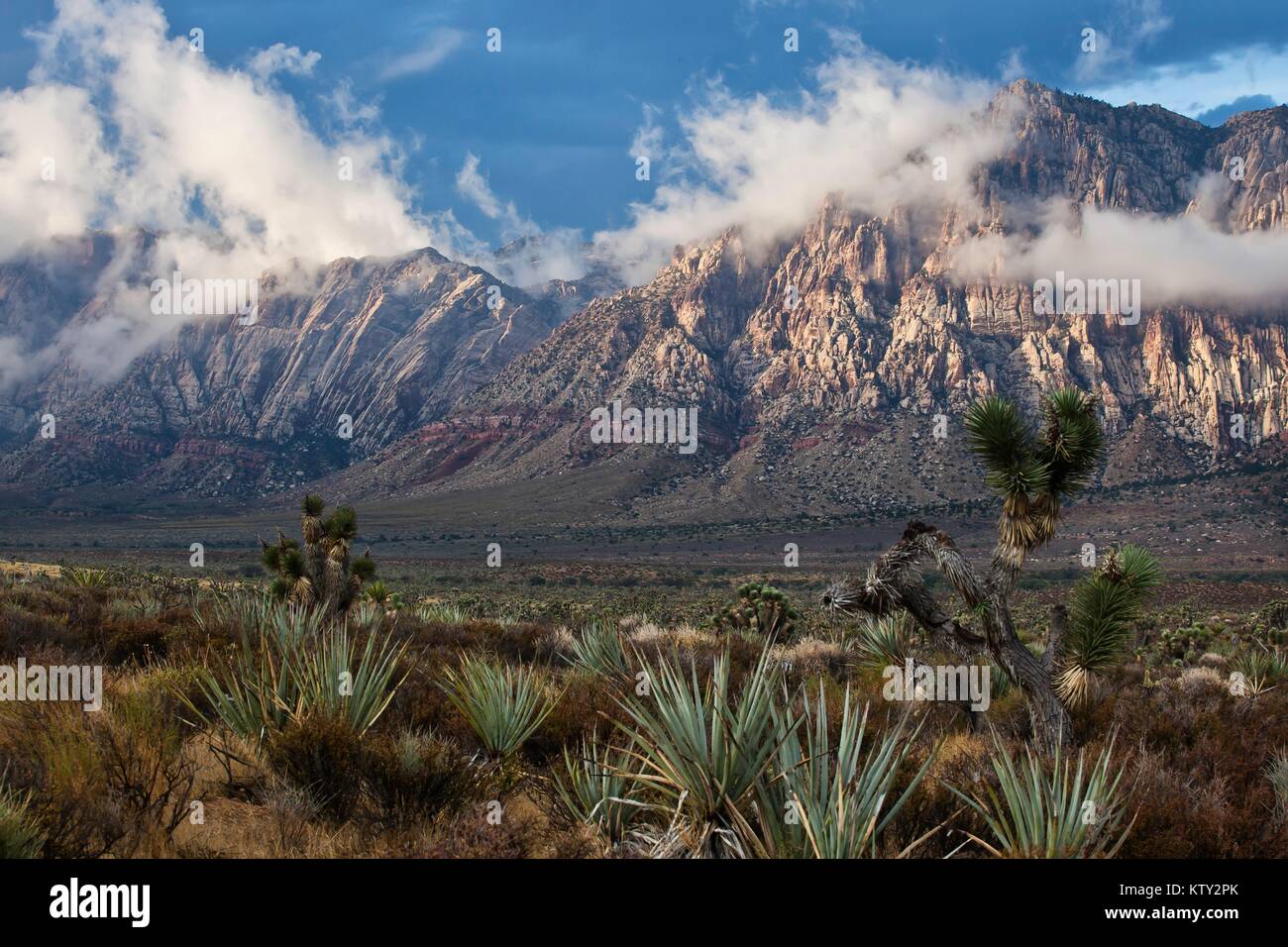 Pietra arenaria rossa formazioni rocciose presso il Red Rock Canyon National Conservation Area Ottobre 4, 2011 vicino a Las Vegas, Nevada. Foto Stock