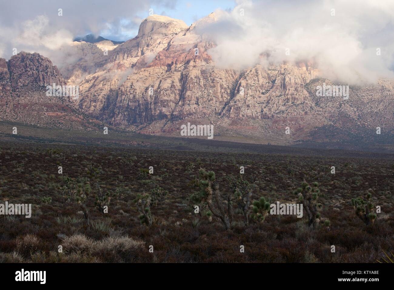 Pietra arenaria rossa formazioni rocciose presso il Red Rock Canyon National Conservation Area Ottobre 4, 2011 vicino a Las Vegas, Nevada. Foto Stock