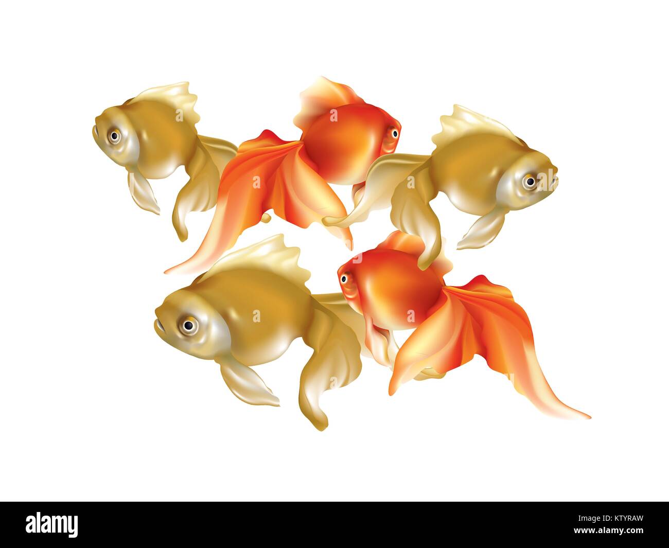 Bellissimi pesci rossi su sfondo bianco Illustrazione Vettoriale