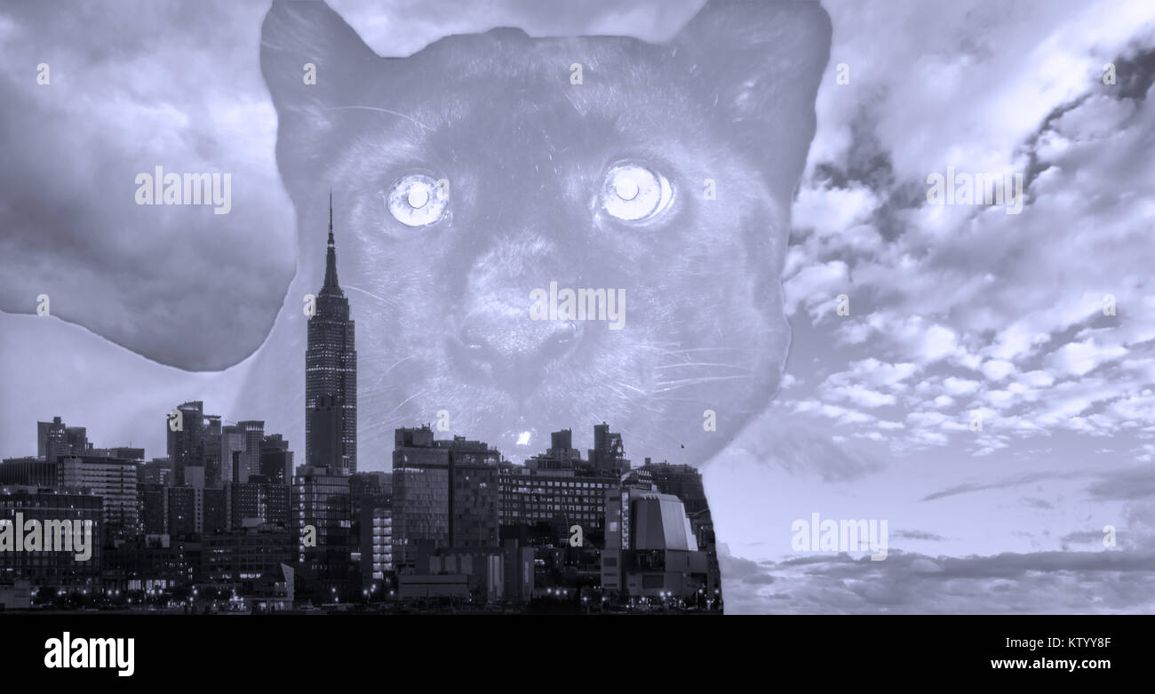 Lo skyline di New York all'interno di Black Panther monocromatico sfondo astratto Foto Stock