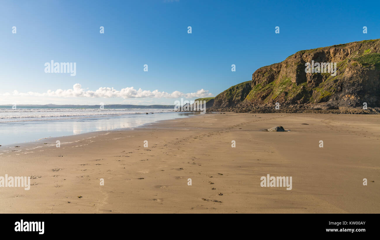 Spiaggia a Druidston Haven, vicino a Haverfordwest, Pembrokeshire, Dyfed, Wales, Regno Unito Foto Stock