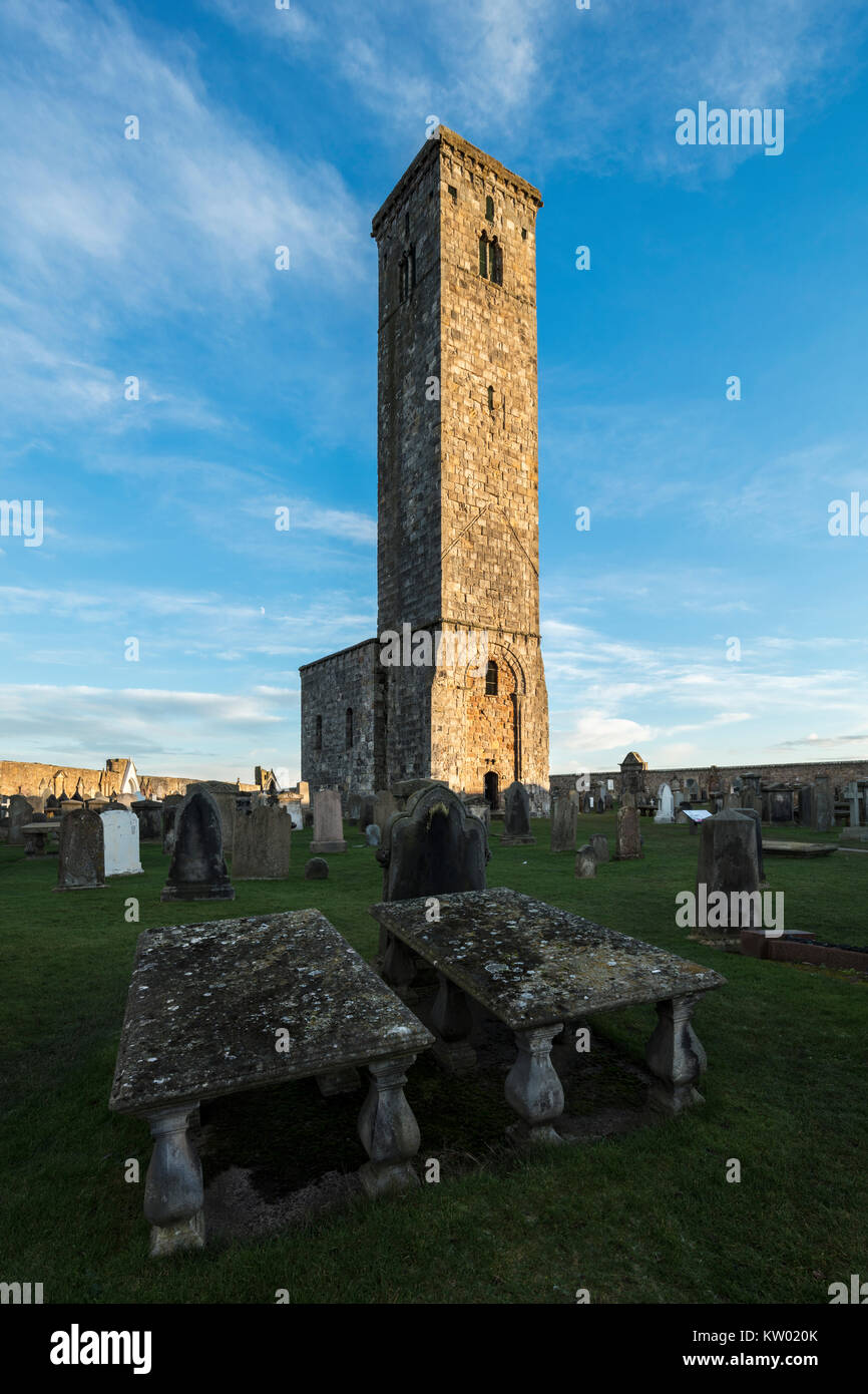 Regole di St Tower, St Andrews Cathedral, St Andrews Foto Stock