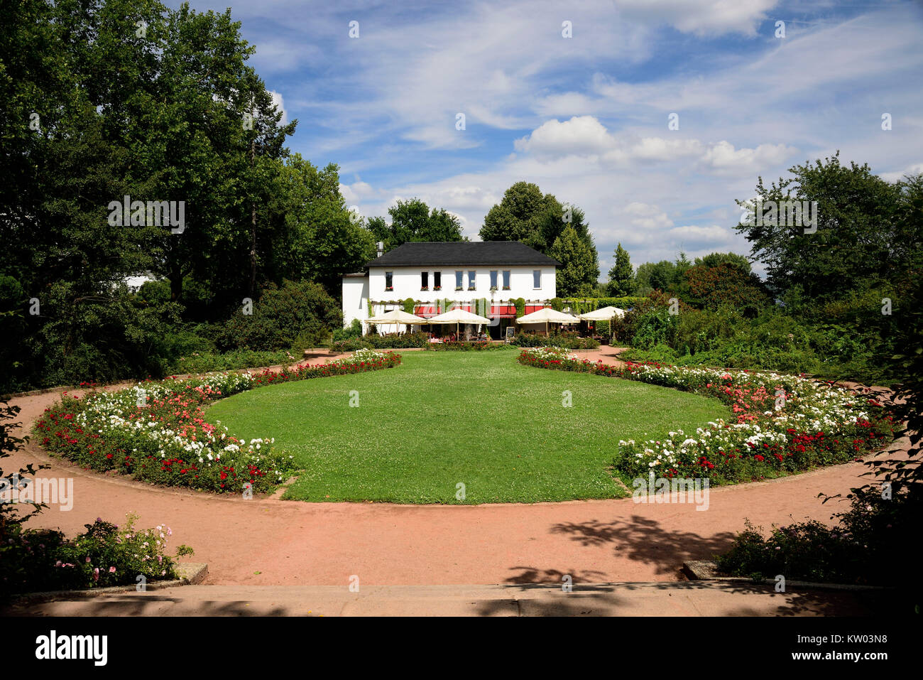 A Dresda, giardino di rose nella città nuova abitante-re della riva, Rosengarten am Neustädter Königsufer Foto Stock