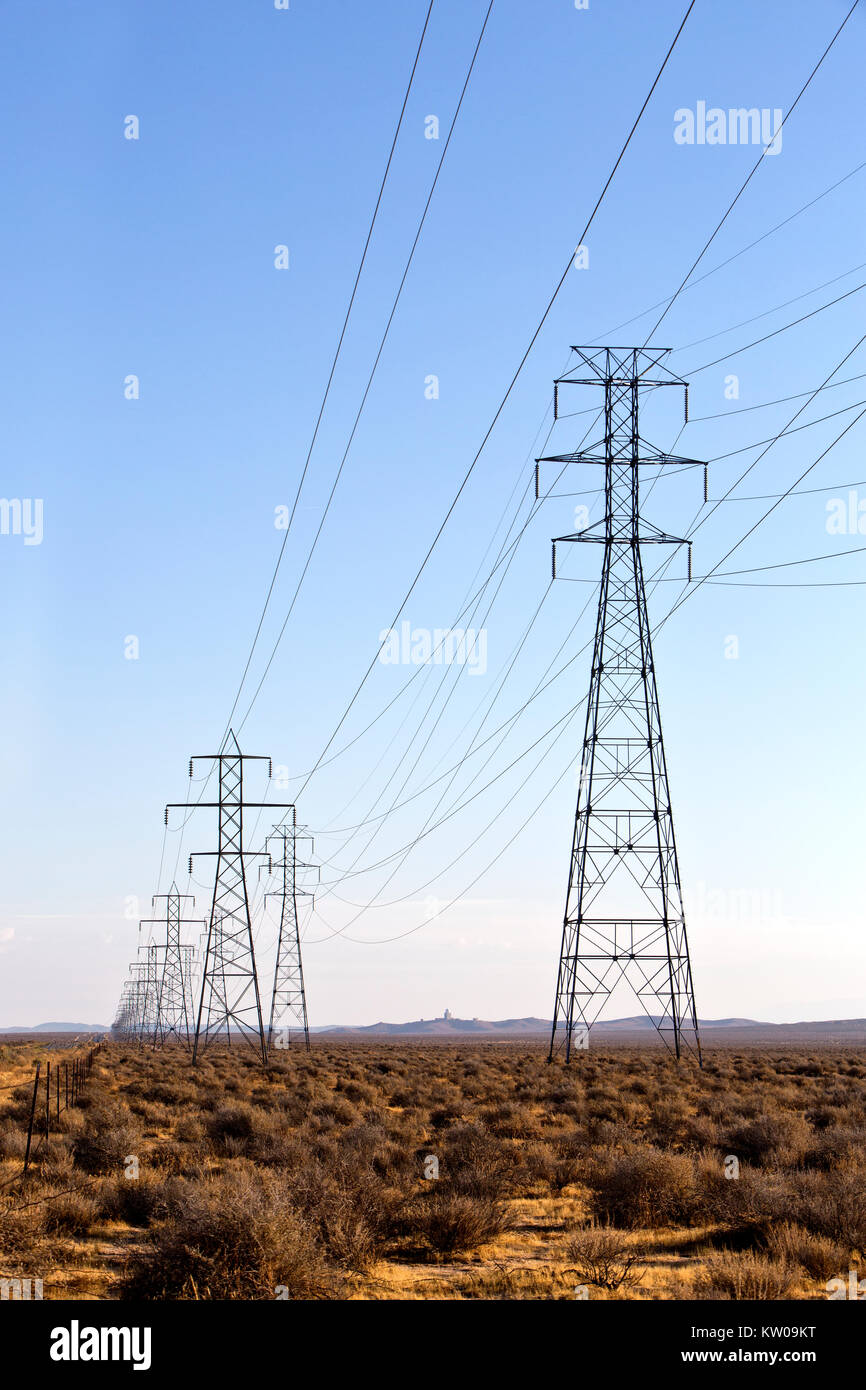 Linee elettriche ad alta tensione, torri principali, flora nativa. Foto Stock
