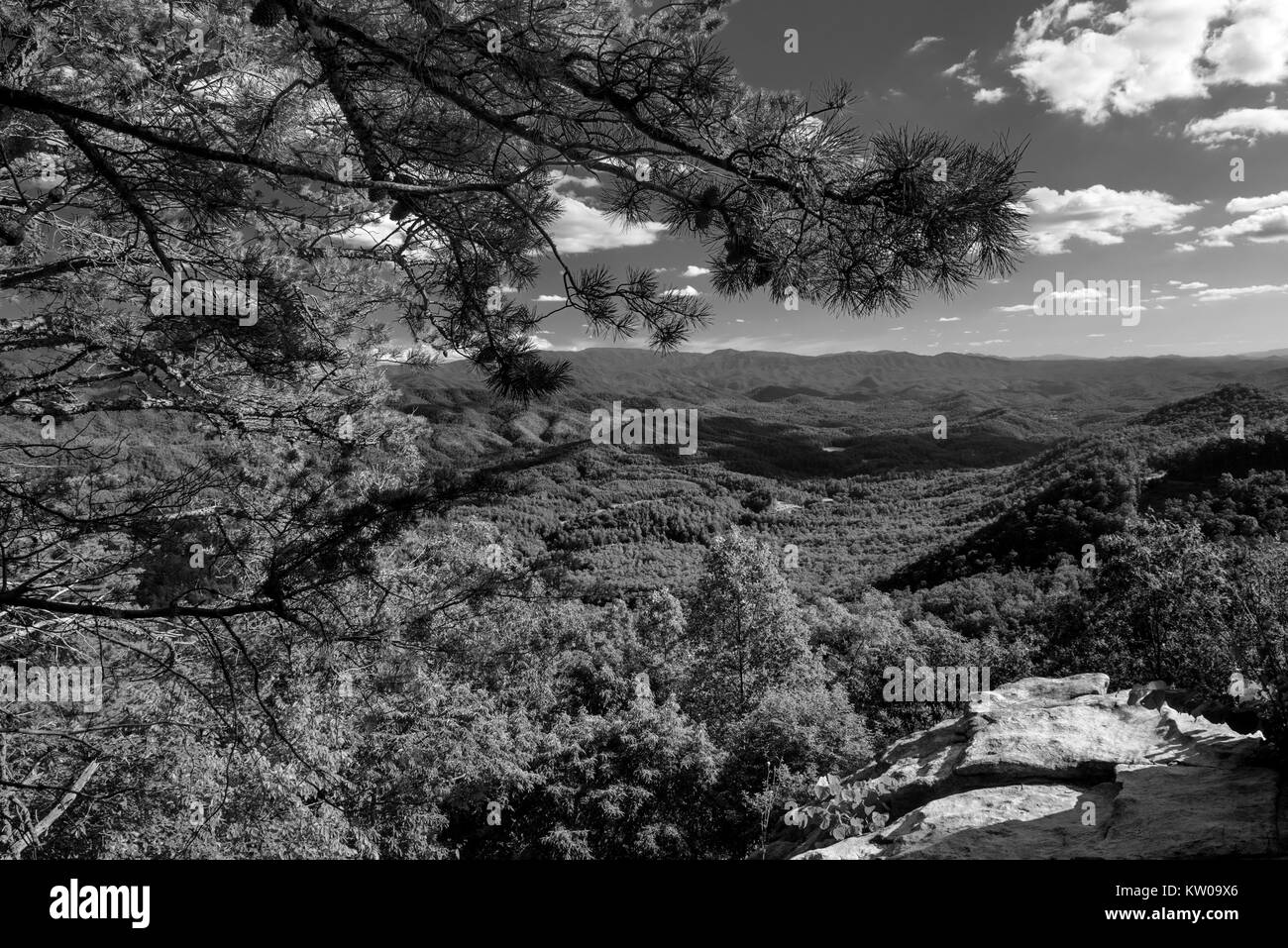 Un estate vista vista dal look Rock area di Foothills Parkway West nel Parco Nazionale di Great Smoky Mountains, Tenneseee, STATI UNITI D'AMERICA Foto Stock