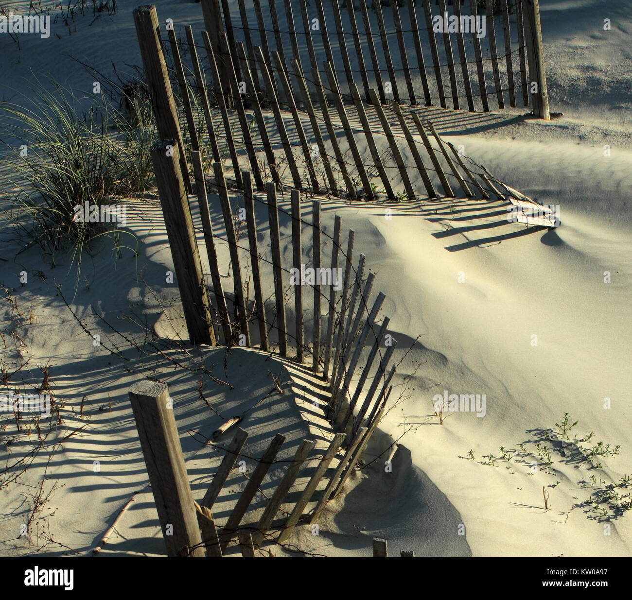 L'ombra generata da una recinzione sulla spiaggia. Jacksonville, Florida Foto Stock