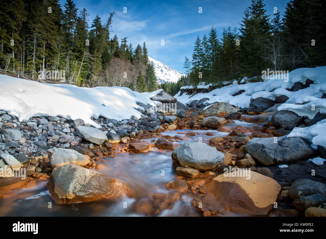 Kautz Creek è un affluente del fiume Nisqually fluente dal ghiacciaio Kautz in Mt. Ranier National Park. È noto per essere imprevedibile e inondazioni a causa della fusione glaciale. Foto Stock