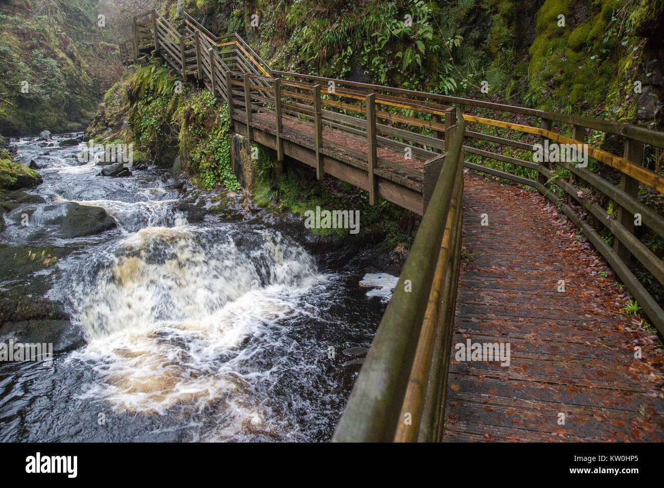 La Cascata boardwak a piedi in Glenariff Forest Park Foto Stock