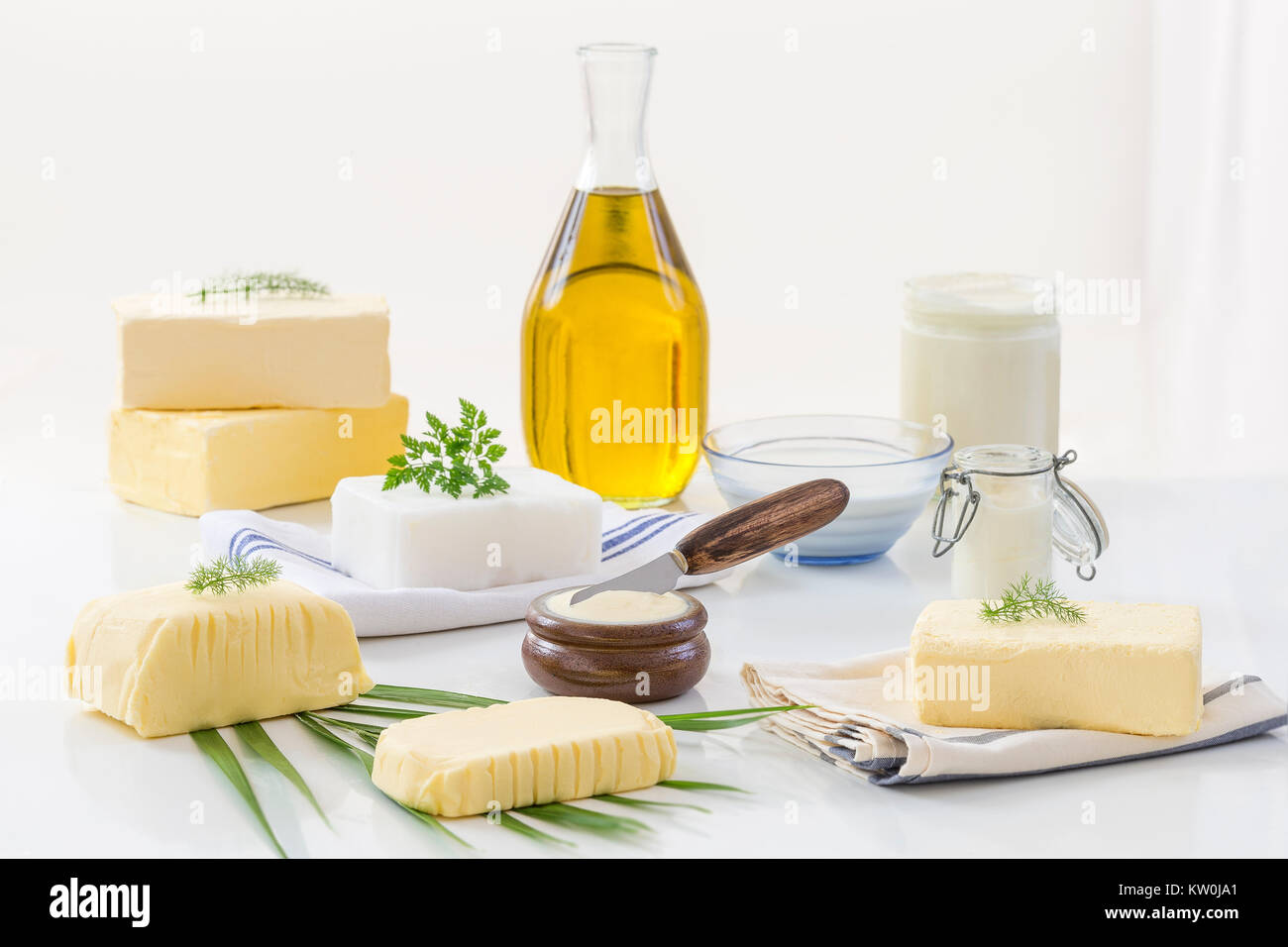 Grassi alimentari: set di prodotti lattiero-caseari e olio su sfondo bianco Foto Stock