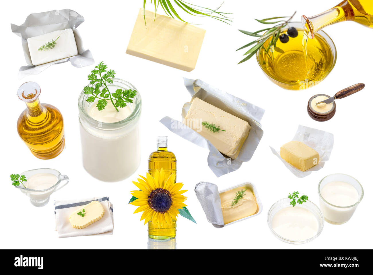Grassi alimentari e olio : insieme di prodotti lattiero-caseari e olio e grassi animali su sfondo bianco Foto Stock