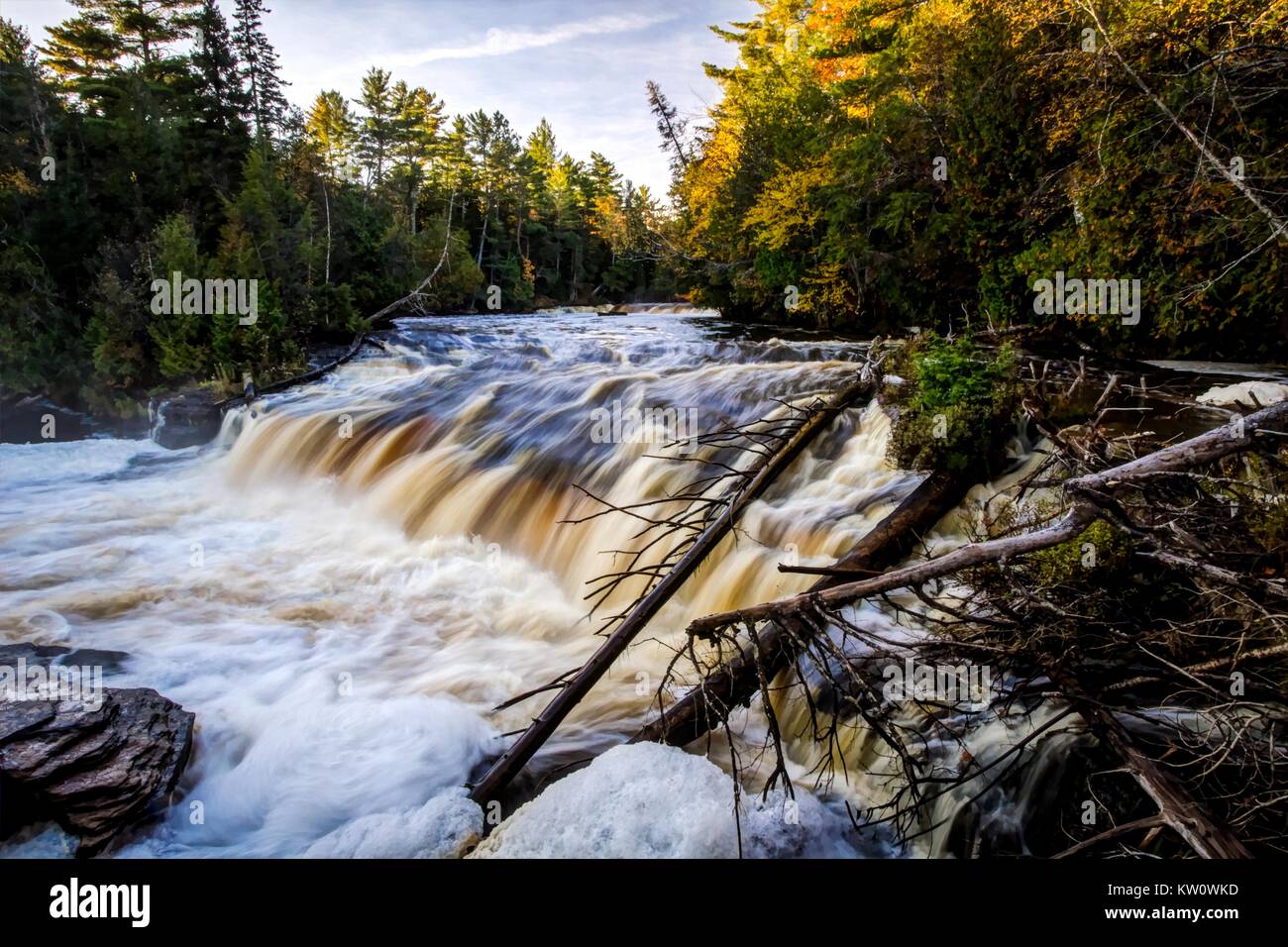 Penisola superiore della cascata. Scenic abbassare Tahquamenon Falls precipita attraverso il deserto della foresta di Penisola Superiore nel Michigan. Foto Stock