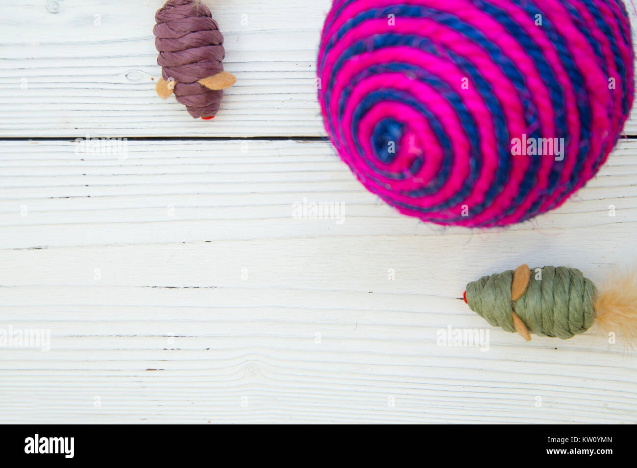 Pet care, veterinari, toelettatura del concetto. Animali domestici avendo divertimento. Un di legno bianco con sfondo colorato giocattoli pet- topi e rosa e blu sfera di corda. Spazio per Foto Stock