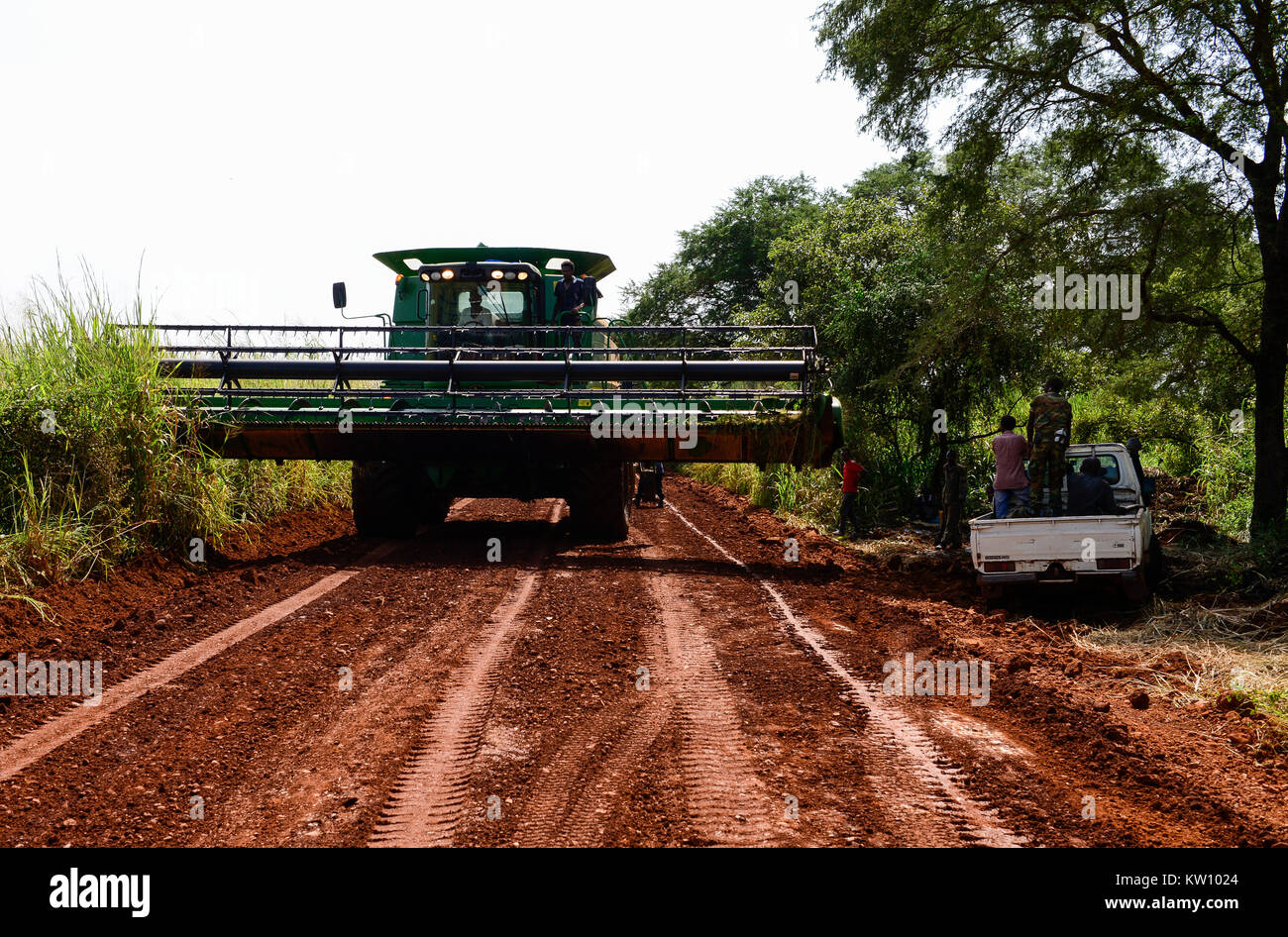 Etiopia, Gambela, Abobo, il governo dare grandi terreni a buon mercato per i leasing per gli investitori nazionali e stranieri, dopo la deforestazione gli investitori coltivare grande Fattoria Terre di coltura alimentare per l'esportazione, le popolazioni locali sono spesso risolte sotto programmi villagization, mietitrebbia John Deere Harvester di Arabia Star lo sviluppo agricolo PLC è spostato su strada stretta per il raccolto di riso , Arabia Star posseduto dal miliardario Saudi-Ethiopian Sheikh Mohamed al-Amoudi ha una fattoria di riso di circa 10.000 ettari lungo il fiume Alwero / AETHIOPIEN, Gambela, Abobo, die aethiopische Regierung verpachtet grosse Landflaech Foto Stock