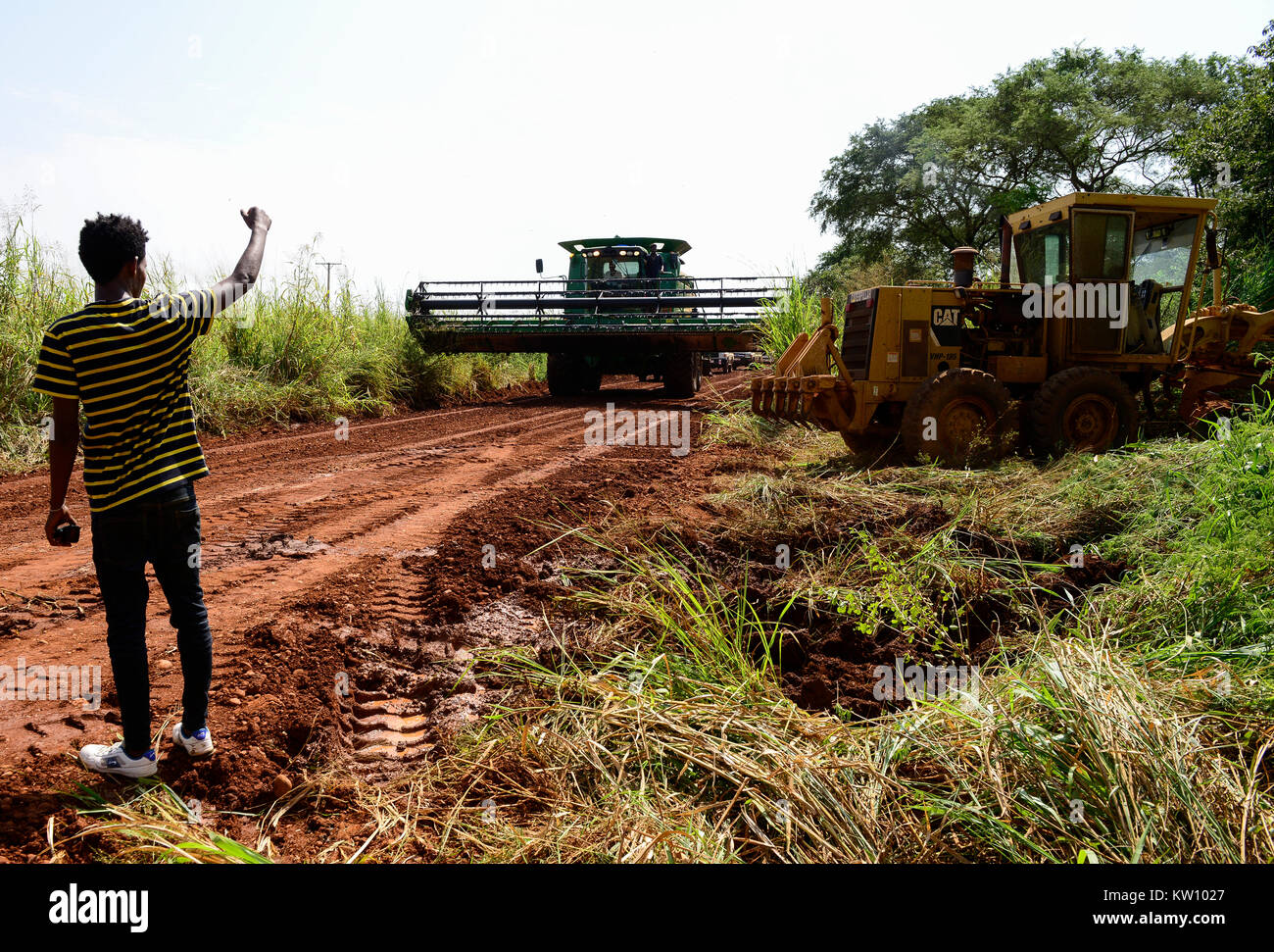 Etiopia, Gambela, Abobo, il governo dare grandi terreni a buon mercato per i leasing per gli investitori nazionali e stranieri, dopo la deforestazione gli investitori coltivare grande Fattoria Terre di coltura alimentare per l'esportazione, le popolazioni locali sono spesso risolte sotto programmi villagization, mietitrebbia John Deere Harvester di Arabia Star lo sviluppo agricolo PLC è spostato su strada stretta per il raccolto di riso , Arabia Star posseduto dal miliardario Saudi-Ethiopian Sheikh Mohamed al-Amoudi ha una fattoria di riso di circa 10.000 ettari lungo il fiume Alwero / AETHIOPIEN, Gambela, Abobo, die aethiopische Regierung verpachtet grosse Landflaech Foto Stock