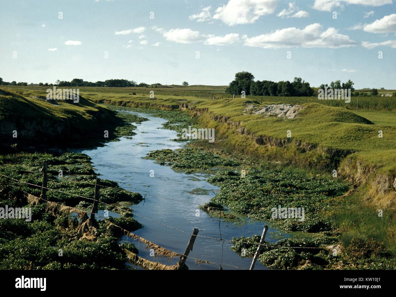 Alcune zanzare godere di zone irrigue, lungo con lenta flussi. Weed-soffocato irrigazione fosse risultato in lenta flussi. Tali ambienti potrebbe contenere delle larve di zanzara Culex tarsalis e la zanzara anofele punctipennis . Immagine cortesia CDC/Graham Heid, il dott. Harry D. Pratt. 1975. Foto Stock