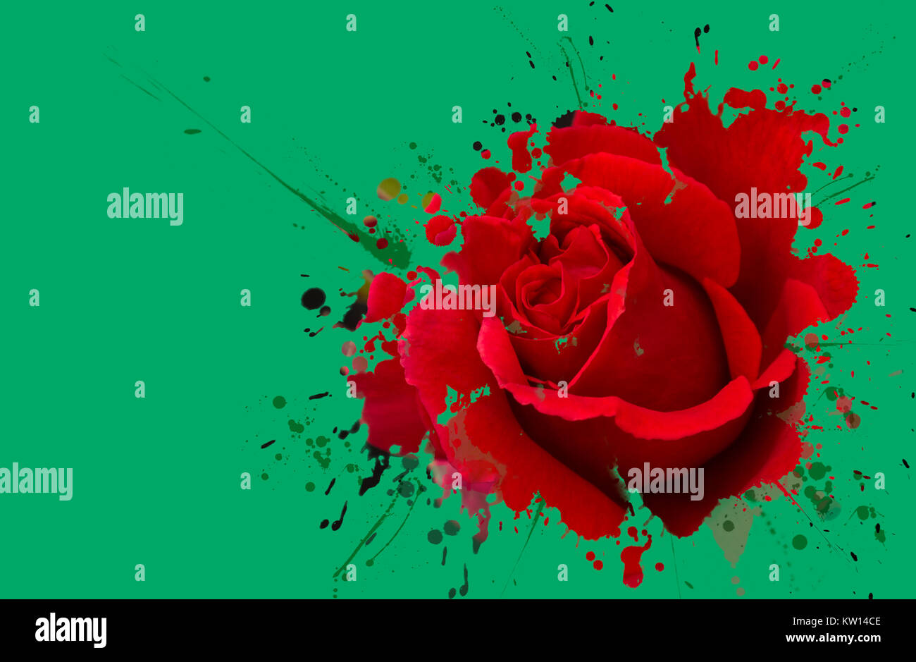 Red Rose fresche. Spruzzi di vernice effetto. Sfondo verde Foto Stock