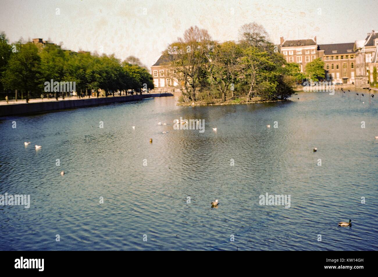 Il palazzo del parlamento, l'Aia, Paesi Bassi, 1952. Foto Stock