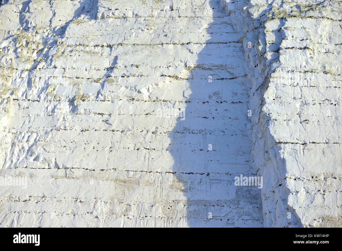 Chalk cliff dettaglio, cretaceo le rocce che compongono le sette sorelle sulla East Sussex costa. Foto Stock