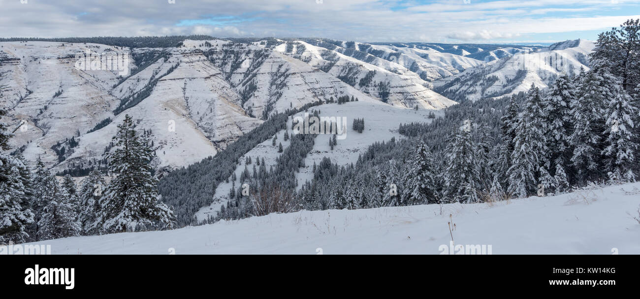 Giuseppe Canyon in inverno, Nordest Oregon. Foto Stock