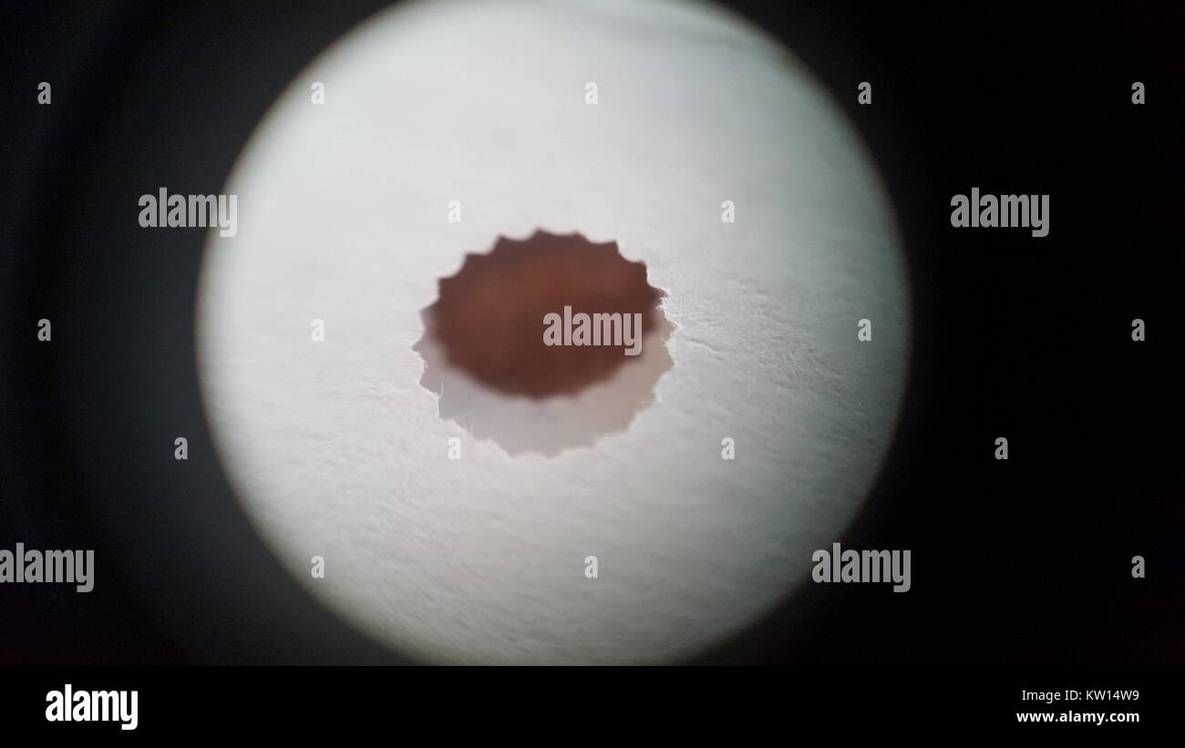 Luce di immagine al microscopio a circa 30x di ingrandimento che mostra un foro di guida nel bordo del modulo continuo utilizzato con una stampante a matrice di punti, 2016. Foto Stock
