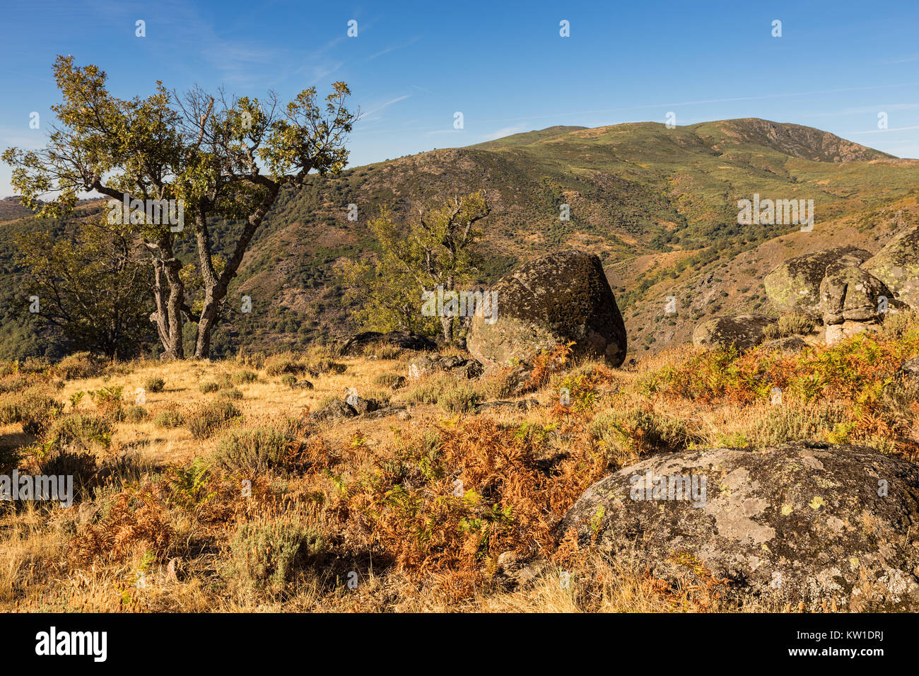 Paesaggio in Puerto de Honduras. Extremadura. Spagna. Foto Stock