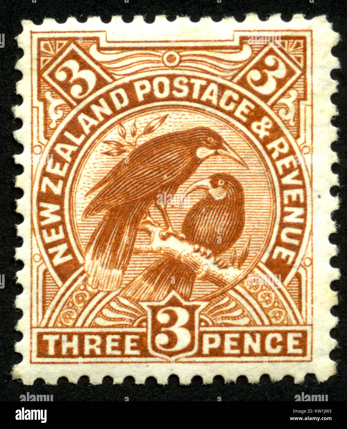 1907 Nuova Zelanda tre pence timbro pittorico dotato di una coppia di huias, ora estinti Foto Stock