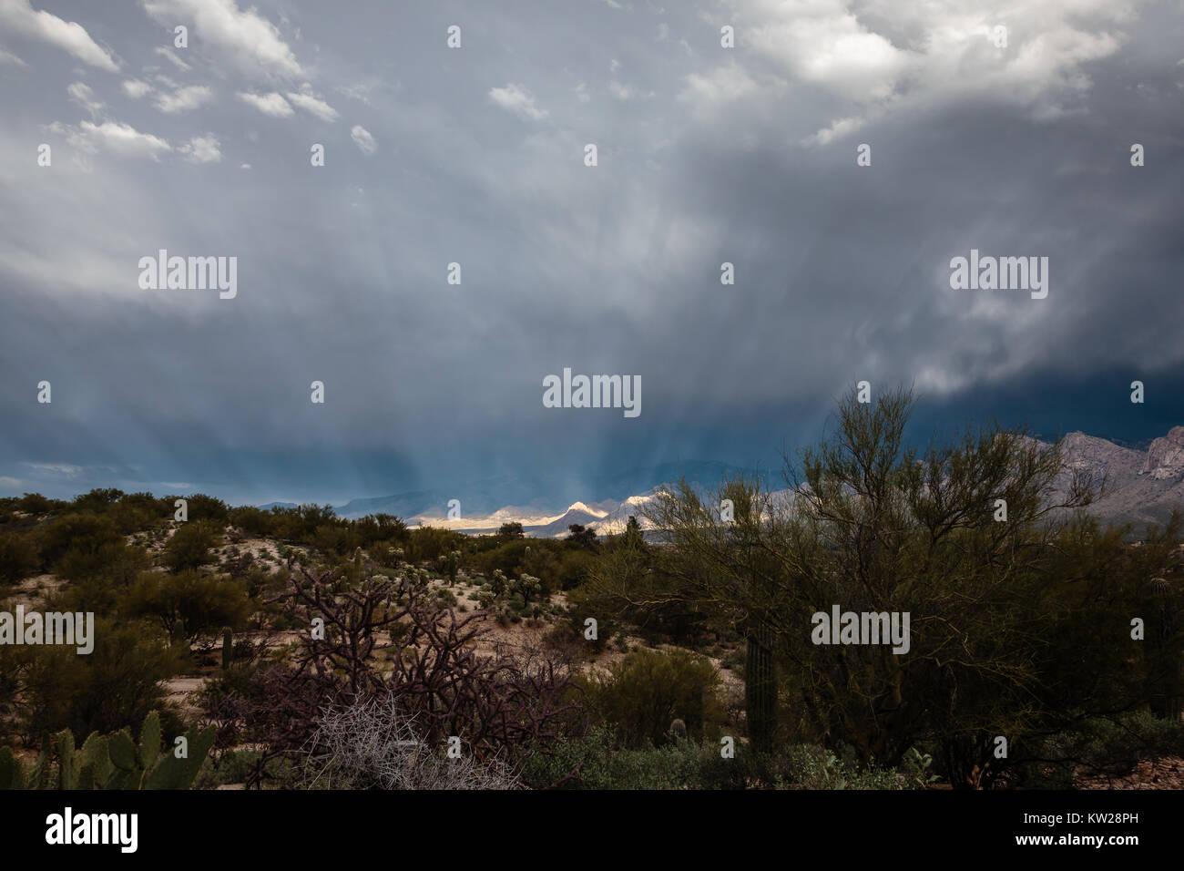 Raggi di luce solare che filtra attraverso le nubi invernali e illuminare le colline ai piedi delle montagne Santa Catalina vicino a Tucson, Arizona. Foto Stock