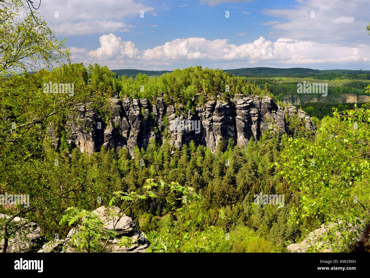 Svizzera sassone, Big Bear's pietra in vista del piccolo orso di pietra, , Großer Bärenstein in der Ansicht vom Kleinen Bärenstein Foto Stock