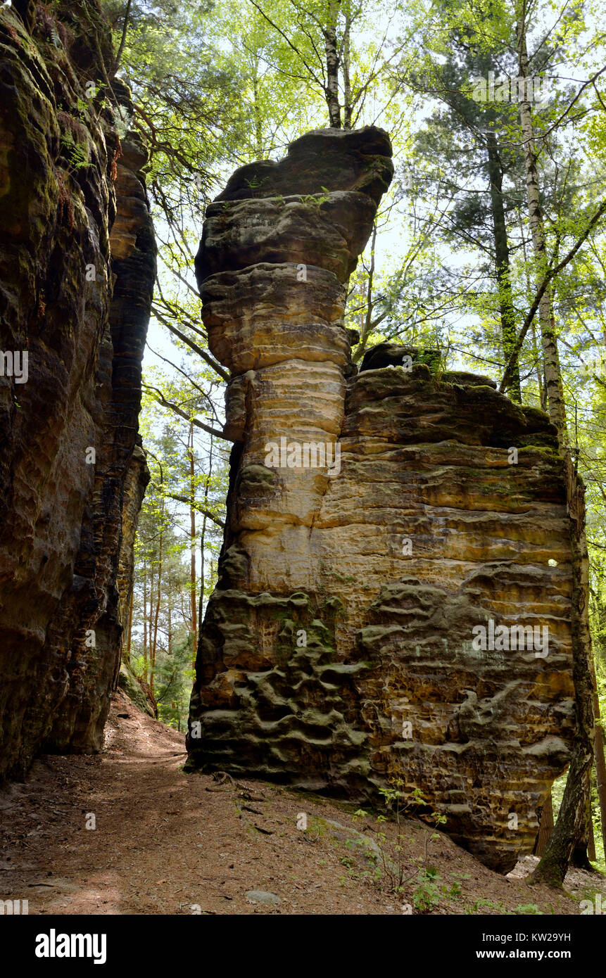 Svizzera sassone, formazione di roccia nel piccolo orso di pietra, Felsformation am Kleinen Bärenstein Foto Stock