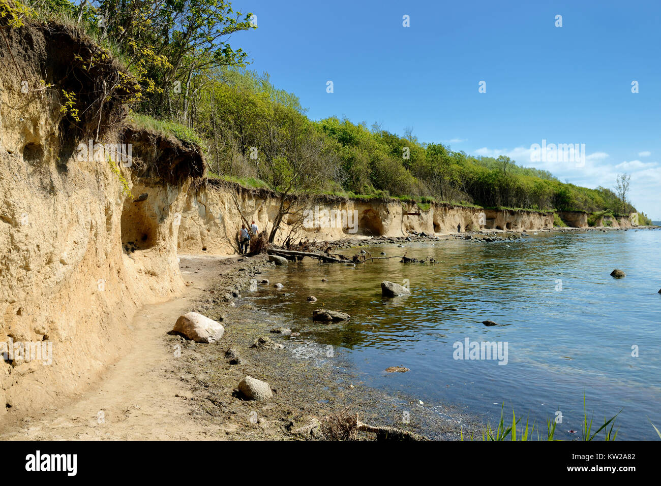 Isola baltica Poel, Steilk?ste vicino villaggio spiaggia Timmen, Ostseeinsel Poel, Steilküste bei Timmendorf Strand Foto Stock