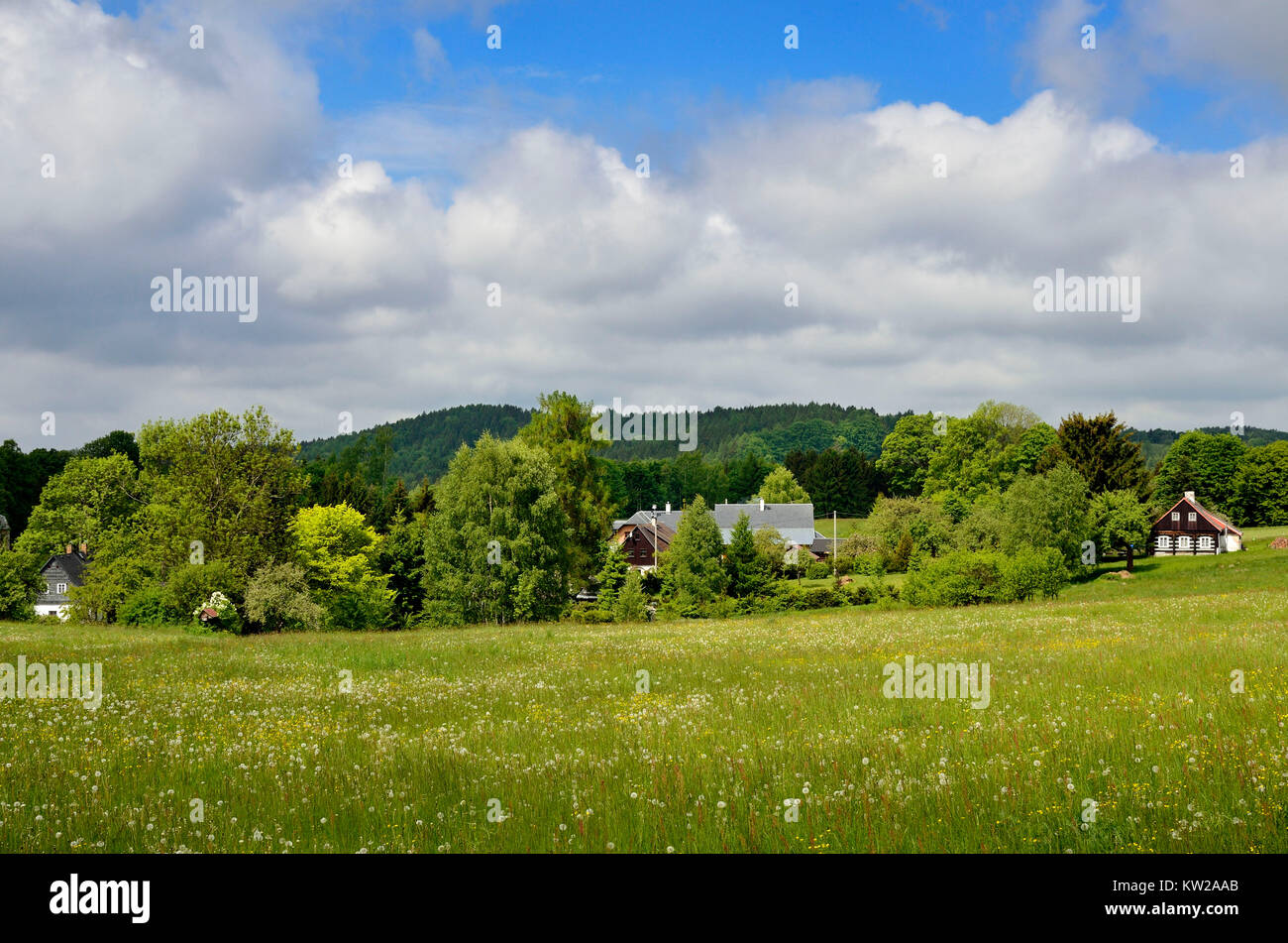 B?hmisches bassa del paese Krasna Lipa, Orsteil Snezna, Schnauh?bel,, Böhmisches Niederland, Krásná Lípa, Orsteil Snežná, Schnauhübel, Foto Stock