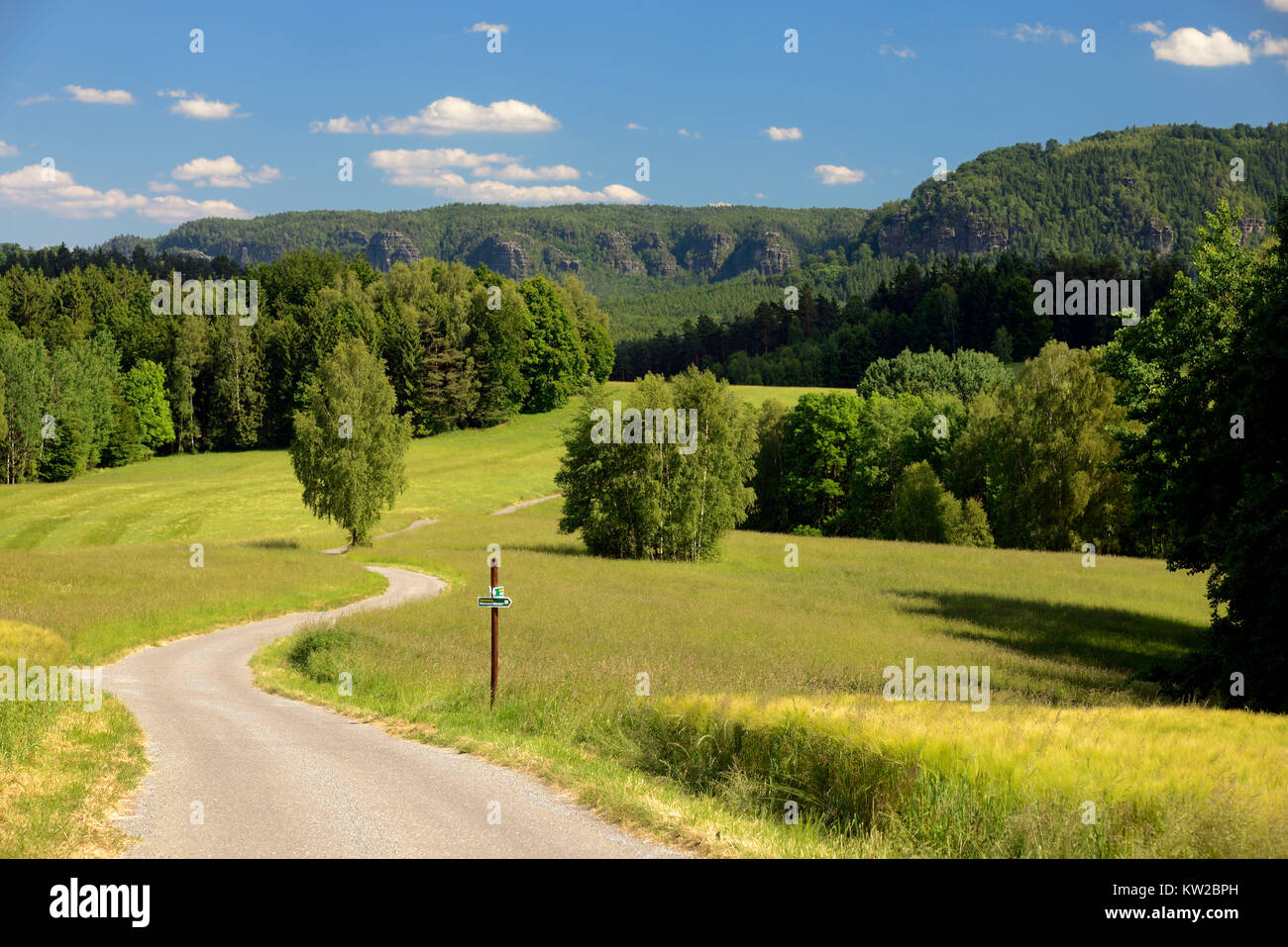 Svizzera sassone, Svizzera Sassone, strada panoramica con vista dell'orso pareti di cattura, Sächsische Schweiz, Panoramaweg mit Sicht zu den Bärenfangw Foto Stock