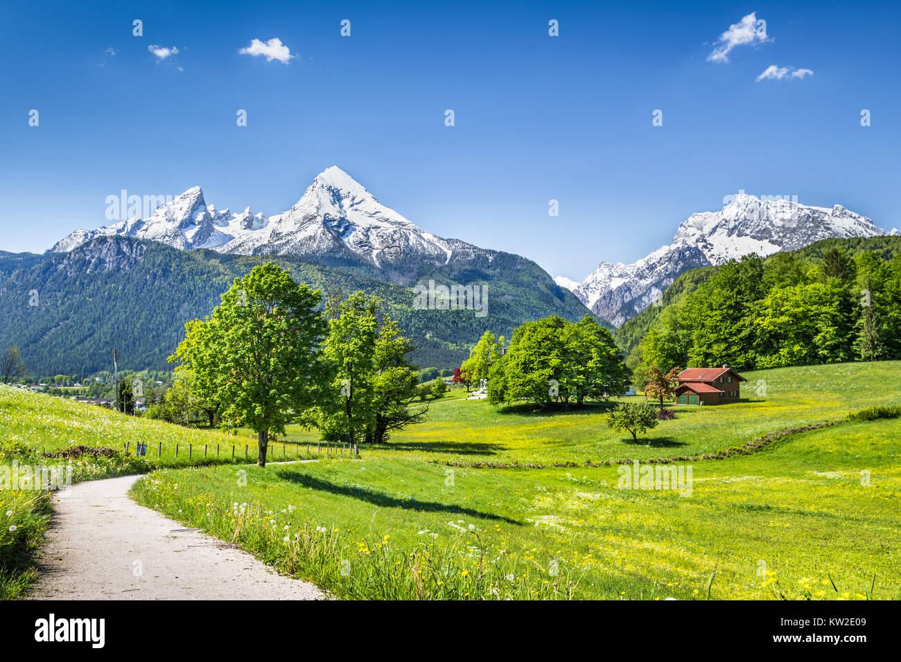 Idilliaco paesaggio estivo nelle Alpi, Nationalpark Berchtesgadener Land di Baviera, Germania Foto Stock