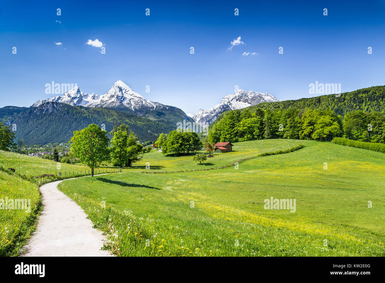 Idilliaco paesaggio estivo nelle Alpi, Nationalpark Berchtesgadener Land di Baviera, Germania Foto Stock