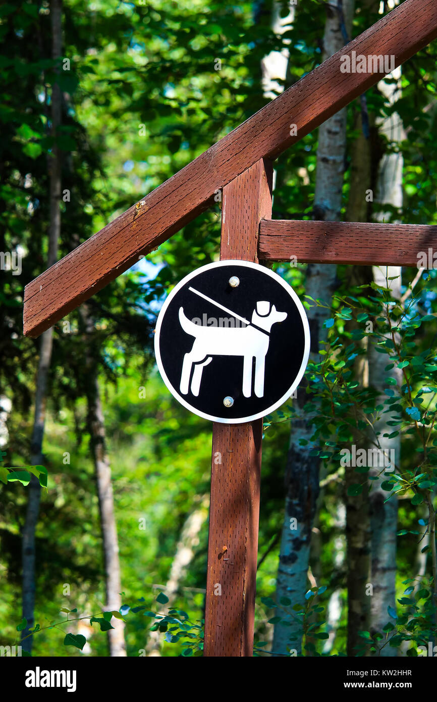 A tenere animali domestici al guinzaglio segno su un palo di legno. Foto Stock