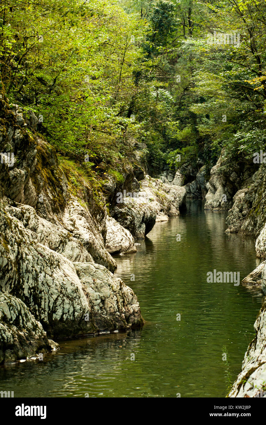 Un pittoresco canyon di un piccolo fiume roccioso con scogliere calcaree in una foresta pluviale Foto Stock