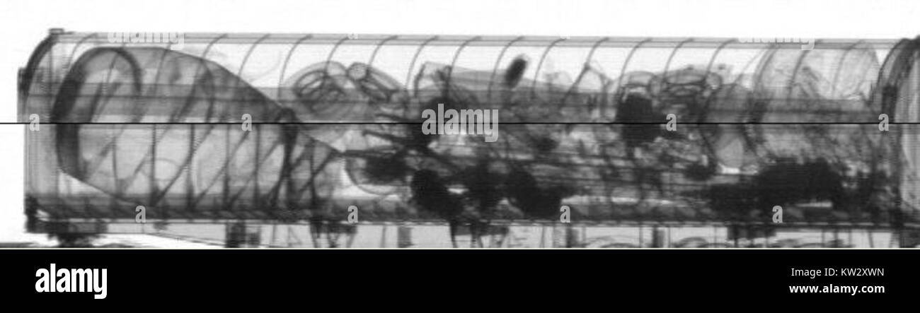 NII immagine 3 si riferisce a un'immagine scientifica o tecnica, possibilmente da un progetto o studio di ricerca. Esso raccoglie informazioni dettagliate pertinenti al campo di indagine. Foto Stock